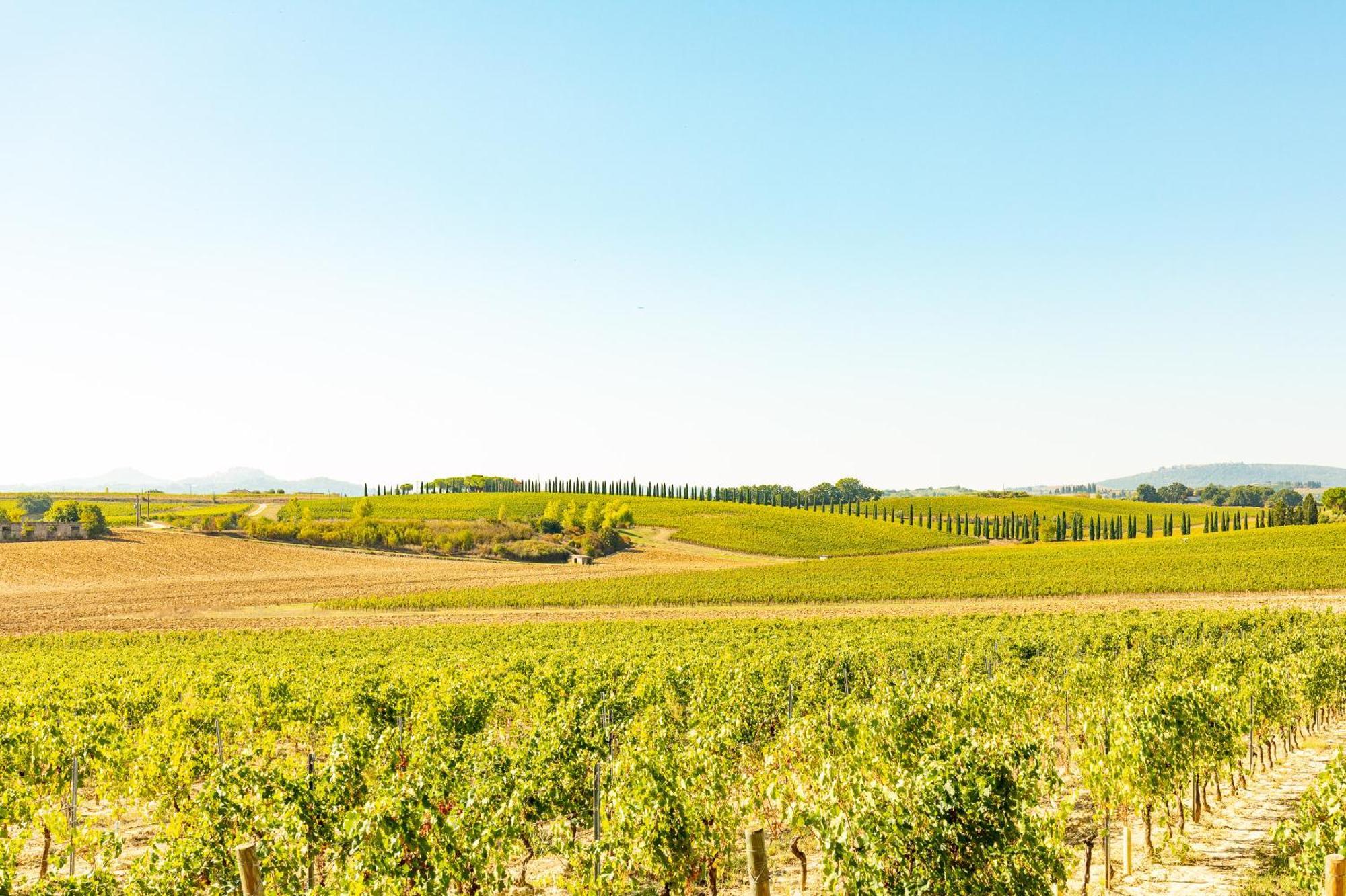 فيلا Vermentino Montepulciano Stazione المظهر الخارجي الصورة