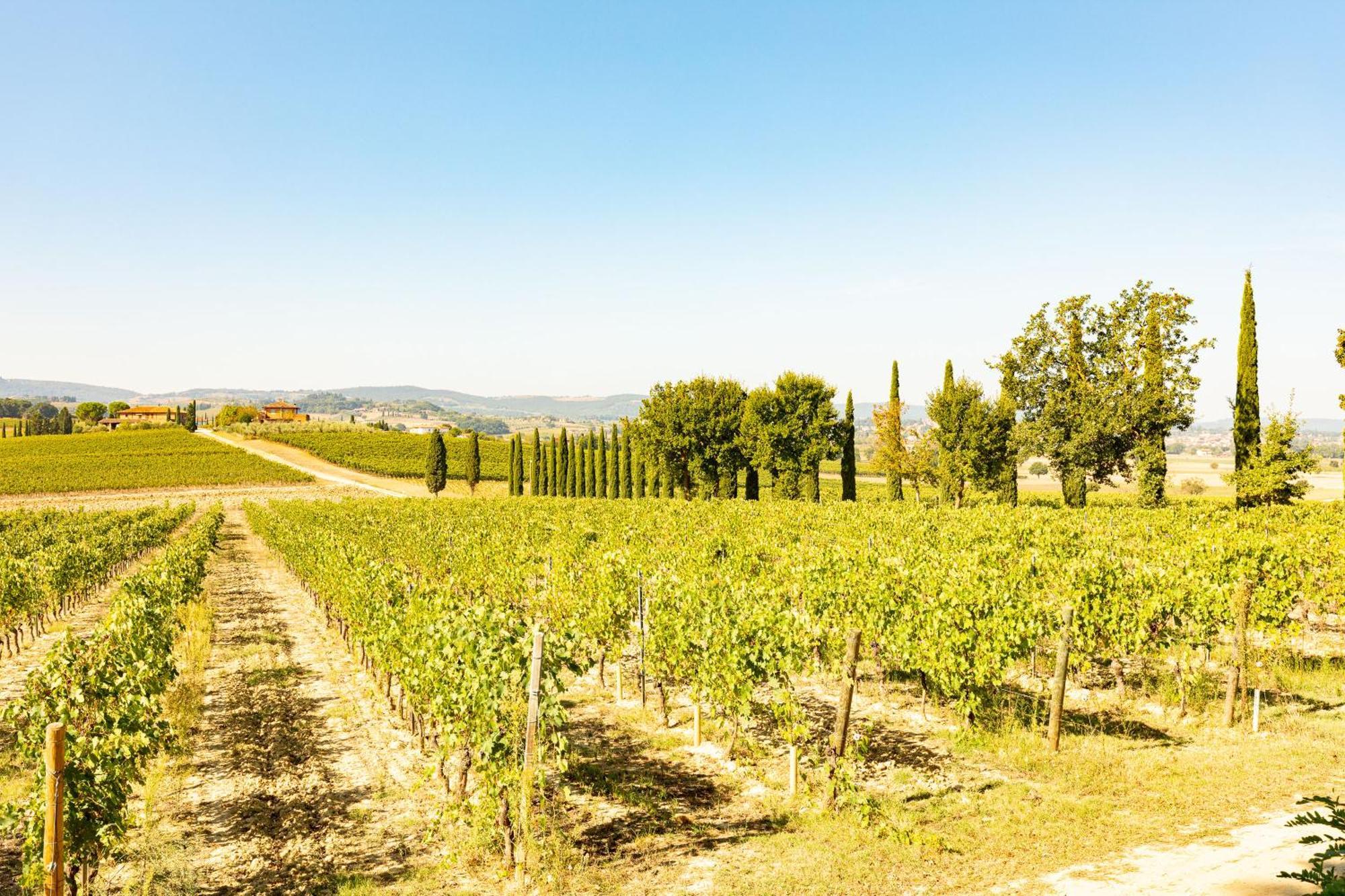 فيلا Vermentino Montepulciano Stazione المظهر الخارجي الصورة